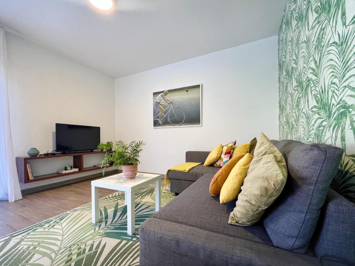 Apartments Teodora Maria Novigrad  Exterior photo