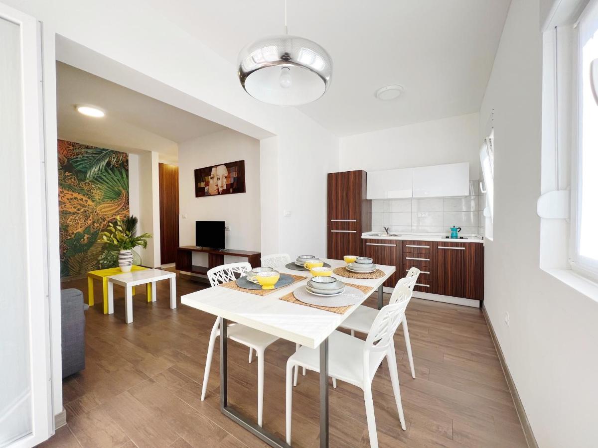 Apartments Teodora Maria Novigrad  Exterior photo